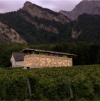 501f4a0928ba0d0242000051_winery-gantenbein-gramazio-kohler-bearth-deplazes-architekten_080701_036_aussenaufnahmen_ralphfeiner_00_pr-827x1000