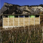 501f49ee28ba0d024200004f_winery-gantenbein-gramazio-kohler-bearth-deplazes-architekten_061116_036_baudokumentation_ralphfeiner_001_pr-1000x689