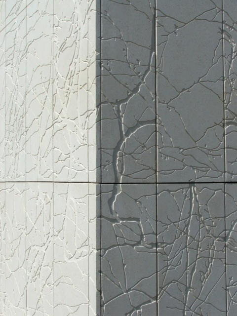 Loading Image