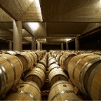 510471e8b3fc4b799200024c_pago-de-carraovejas-winery-estudio-amas4arquitectura-_f13-770x1000